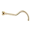 Kludi Adlon - Douchearm, 415 Mm, Goud 2751445